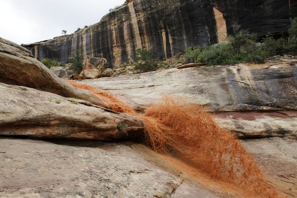 Water runoff down slickrock.