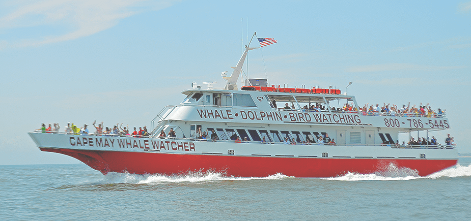 Whale & Dolphin Weekend Cruise