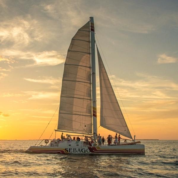 key west sunset champagne catamaran cruise