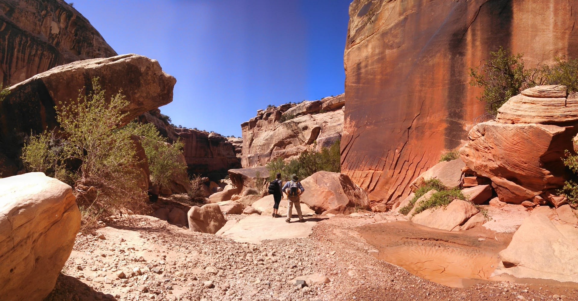 Fry Canyon - Wild Expeditions