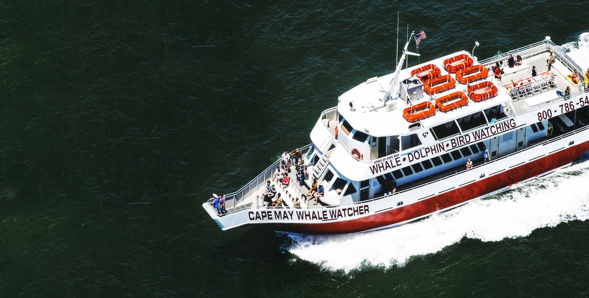 capemaywhalewatcher.com