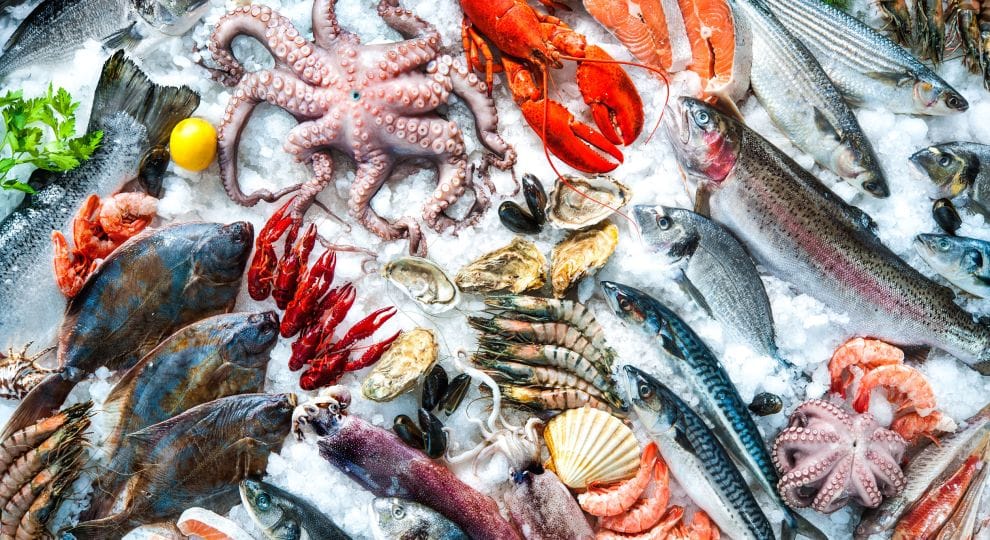 Fresh seafood on ice by Alexander Raths https://www.wgbh.org/dining-out/2018/04/17/7-seafood-markets-in-boston-thatll-help-you-buy-fish-with-confidence