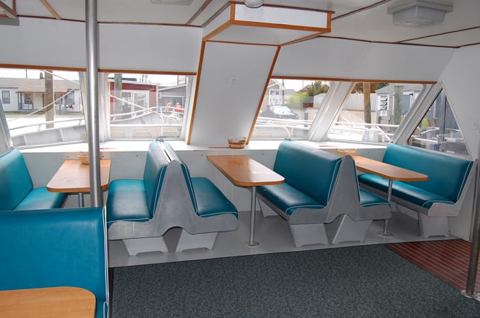 Cape May Whale Watcher 13