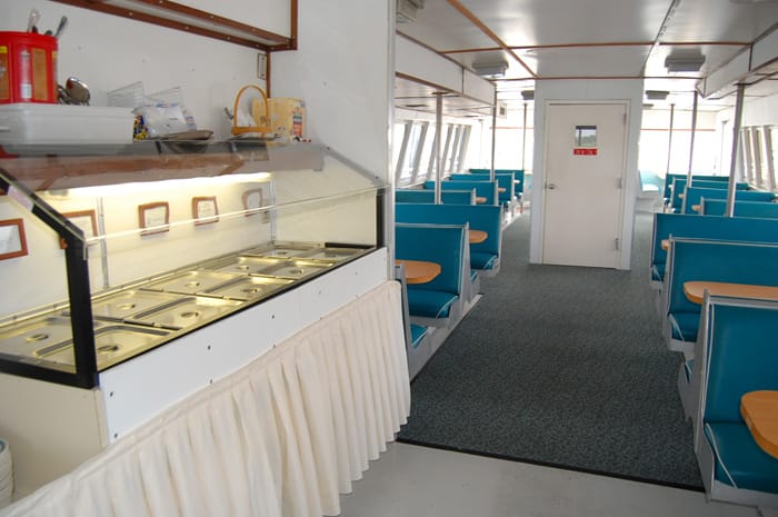 Cape May Whale Watcher 15