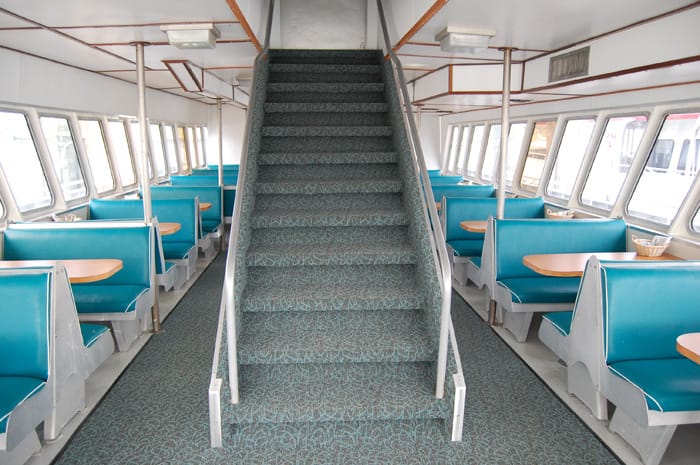 Cape May Whale Watcher 8