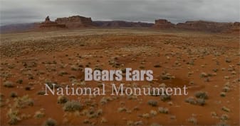 video-image