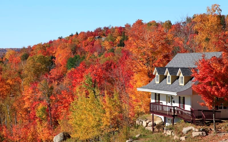 Fall into Savings: Ways to Save Money on Your Roof System