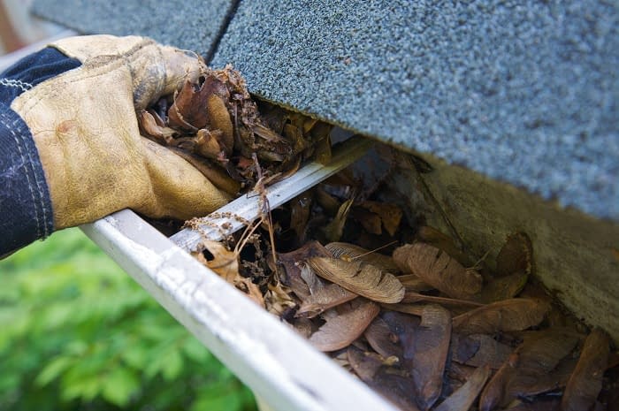 Cleaning & Maintaining Gutters